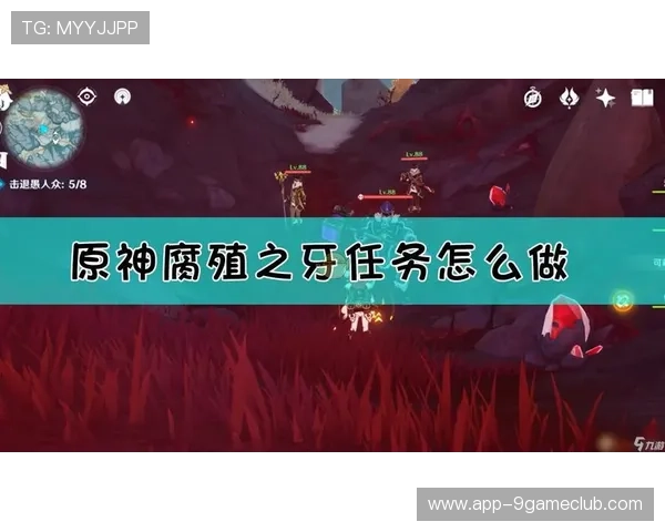 九游娱乐备用网址安全验证流程详解，确保每位玩家都能顺利进入游戏世界